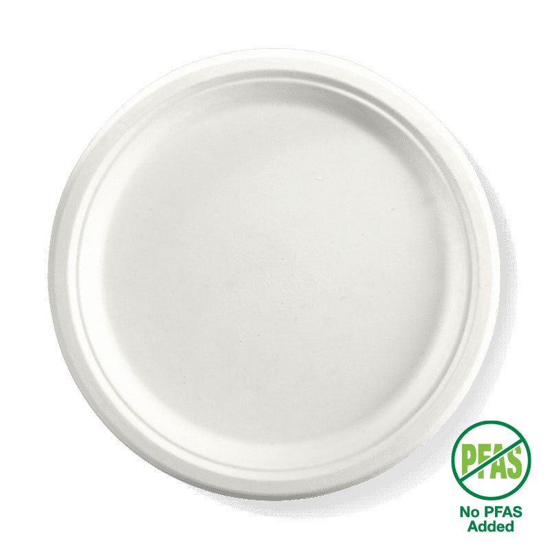 25cm / 10" Round Plant Fibre Plate 1