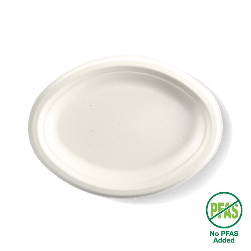 26x19cm / 10.25x7.75" Oval Plant Fibre Plate 1