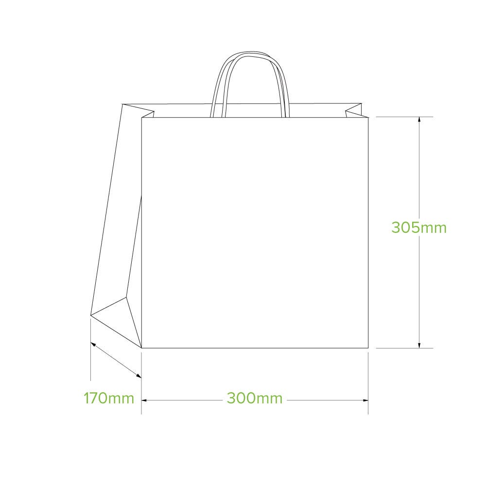 300x170x305mm Large Twist Handle Kraft Paper Bags 2