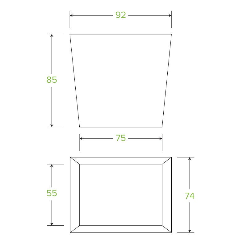 480ml / 16oz BioBoard Noodle Box 2