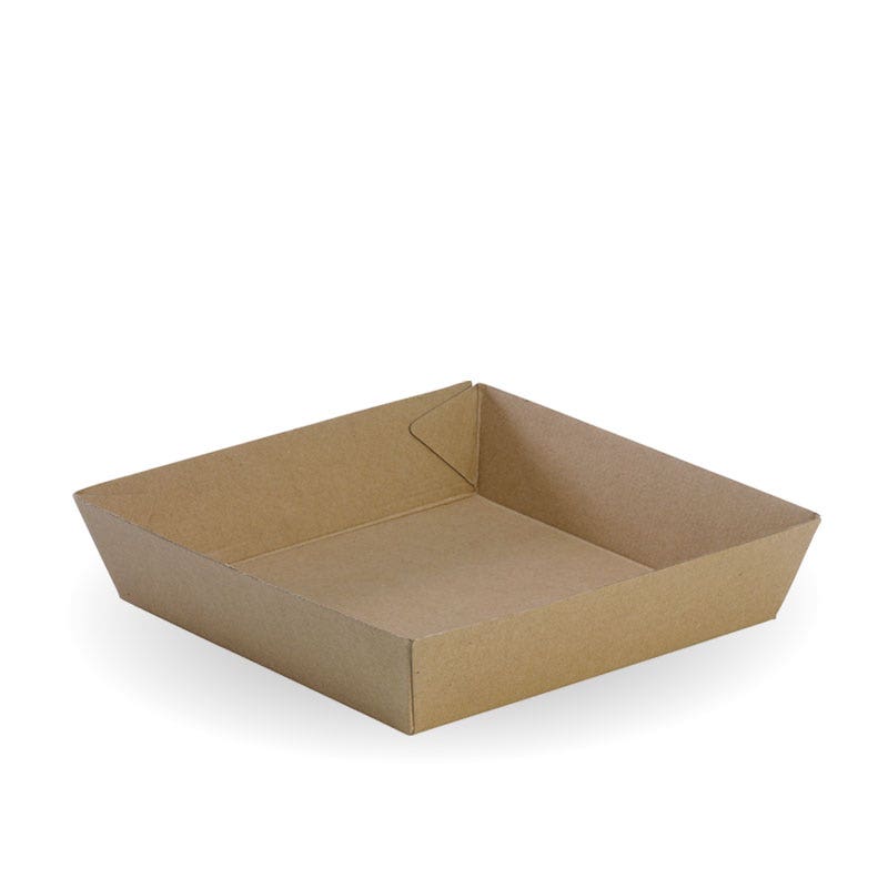 BioBoard Tray #2 1