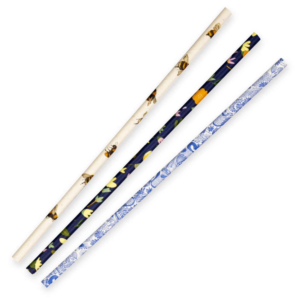 6mm Regular Art Series BioStraw 1